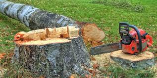 Best Arborist Consultation Services  in Magee, MS